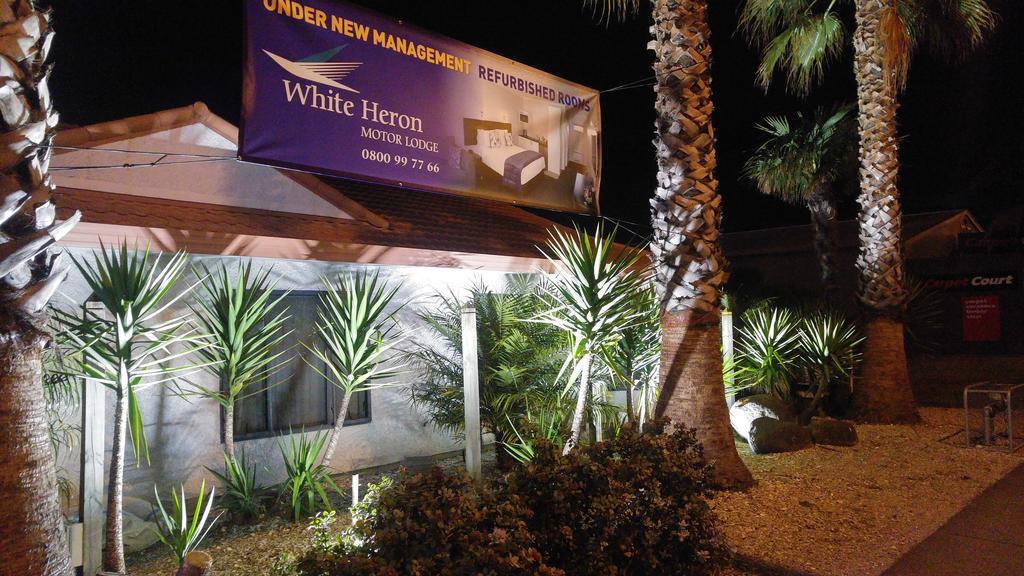 White Heron Motor Lodge ギズボーン エクステリア 写真